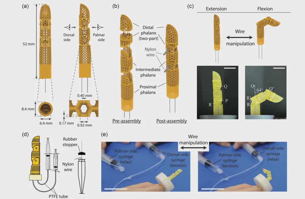 东大造出"活体皮肤"机器人手指！内置循环系统，7天不会干，还能自我修复(图4)